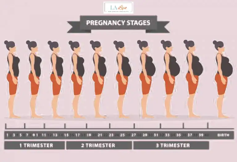First Trimester (Weeks 1–12): Early Changes You Might Not Notice Horsham